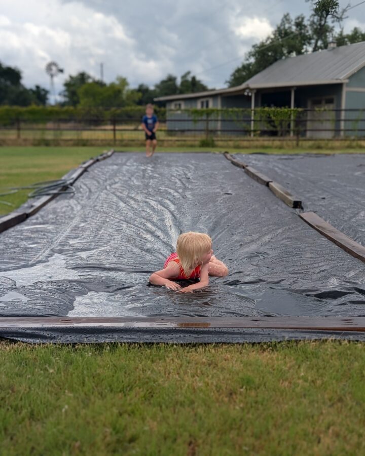 occultation tarp for preparing new garden ground